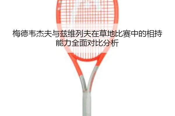 梅德韦杰夫与兹维列夫在草地比赛中的相持能力全面对比分析